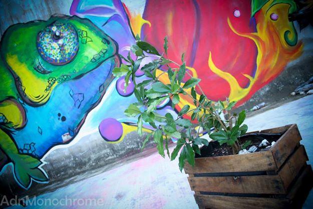 image-housing-carousel