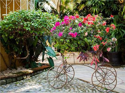 image-housing-carousel