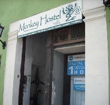 Monkey Hostal Y Hotel