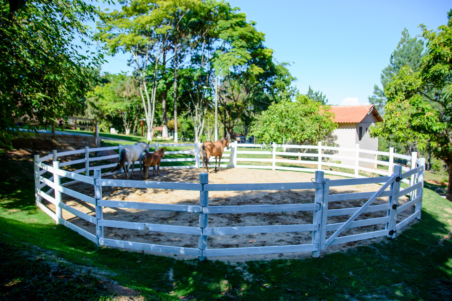 image-housing-carousel