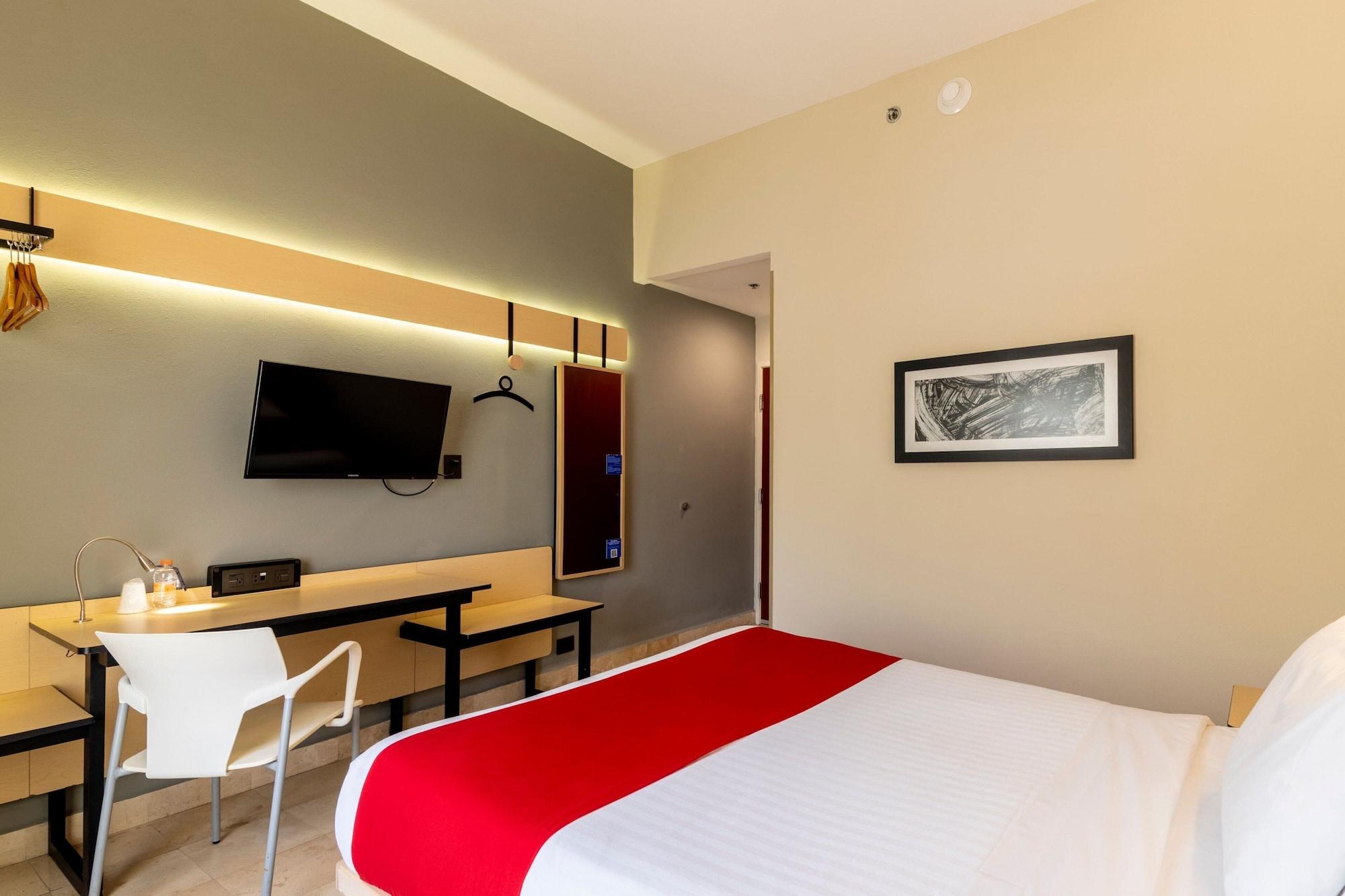 Suite, 1 cama Queen size con sofá cama