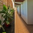 Pez Vela Hotel Ejecutivo
