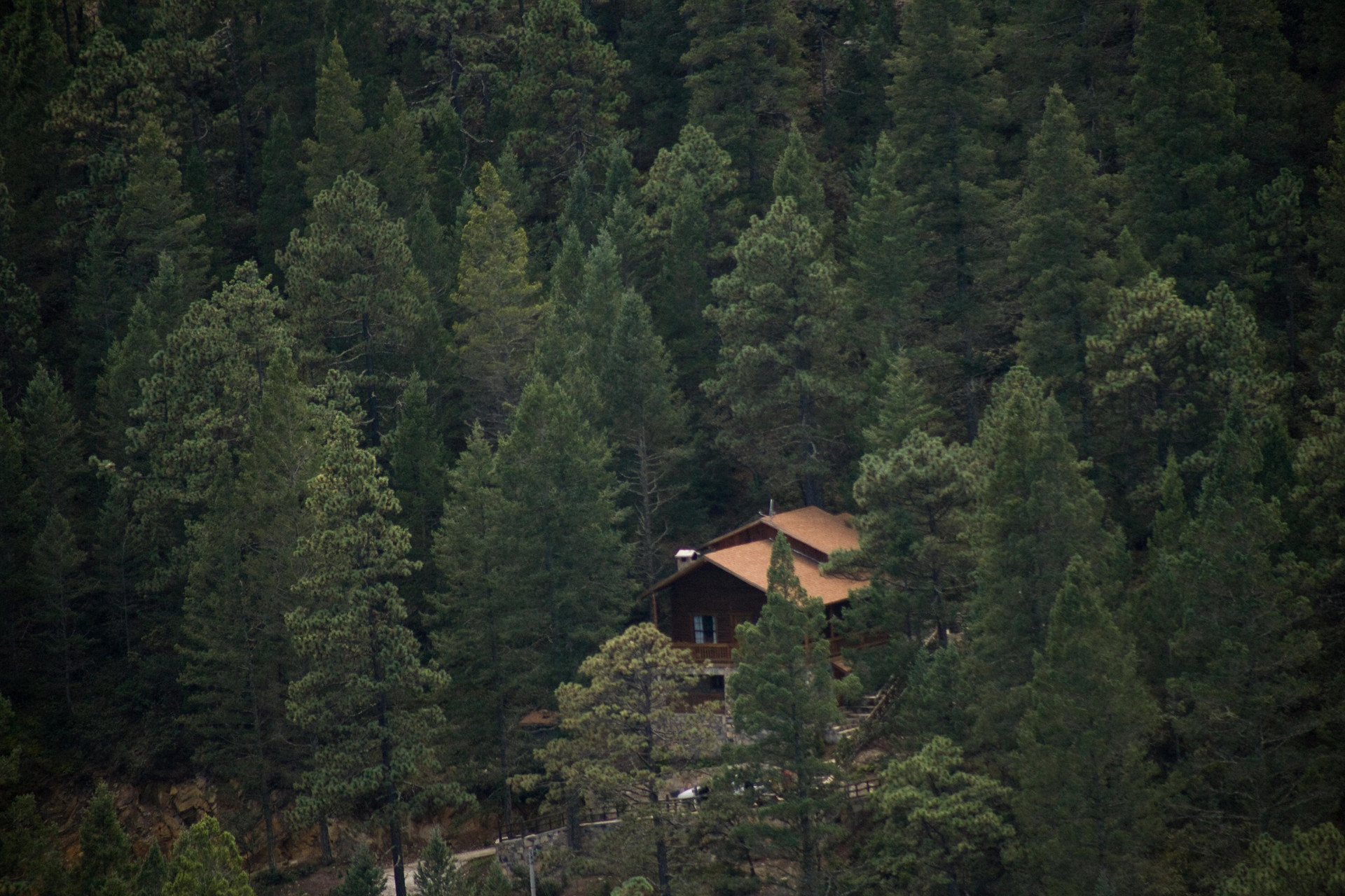 image-housing-carousel