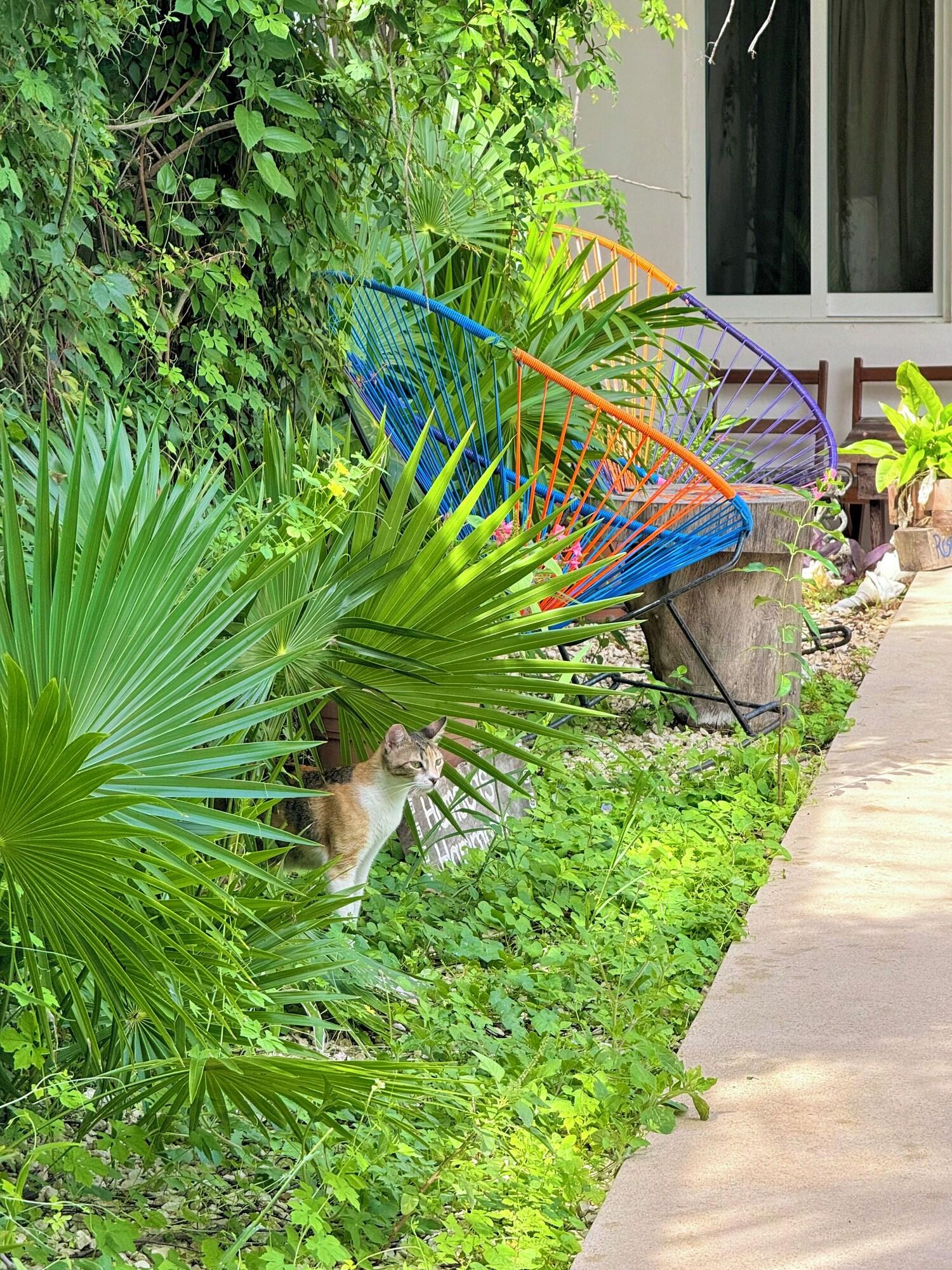 Hotel Jaiba Mahahual 6