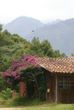 Caba&ntilde;as Campo Real 