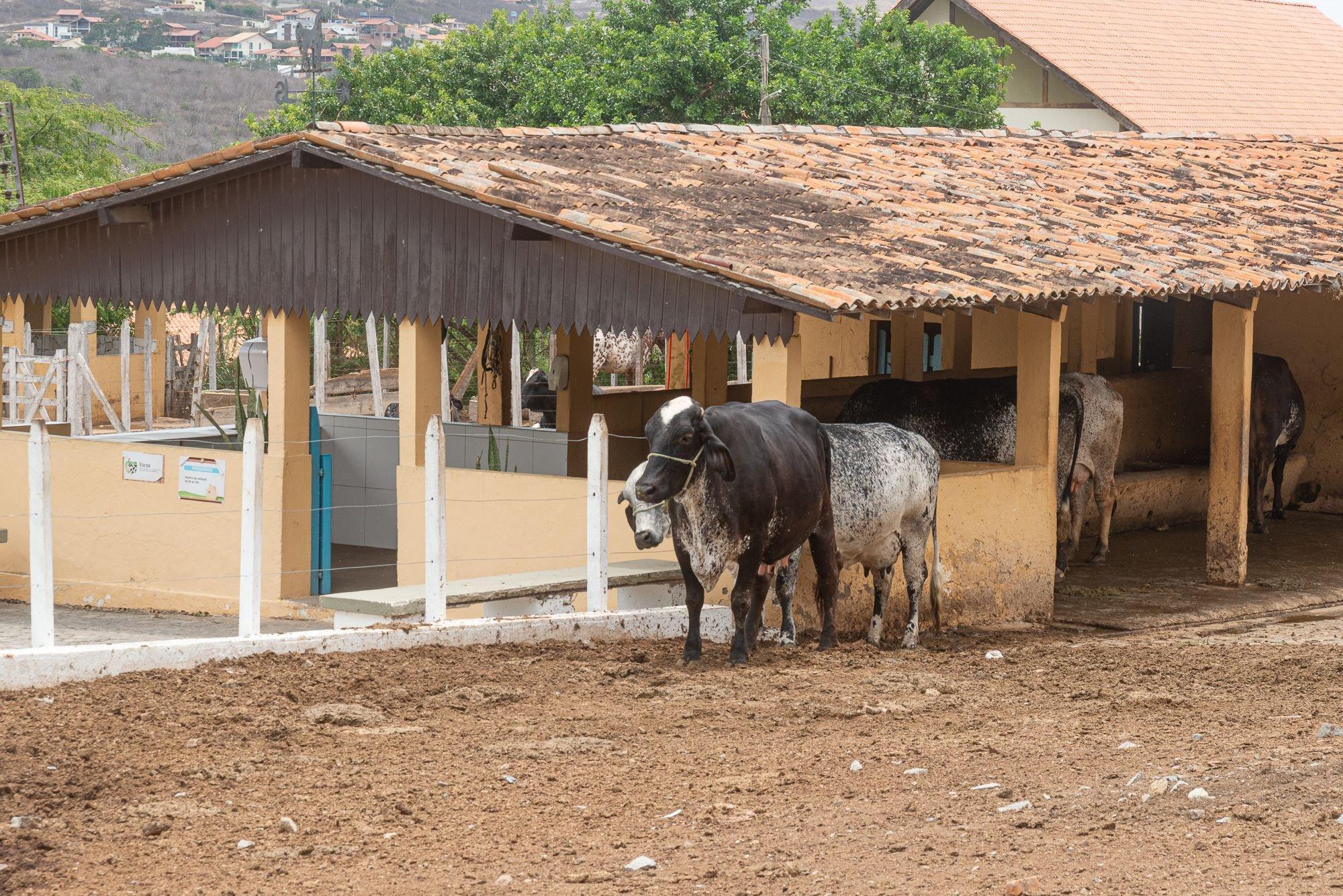 image-housing-carousel
