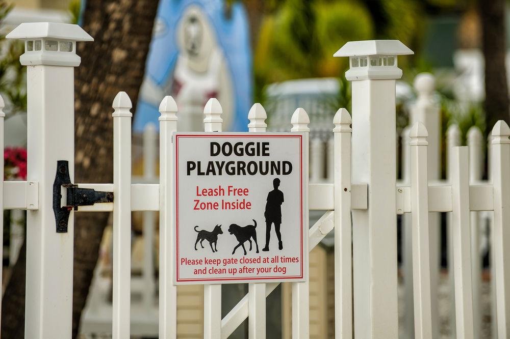 image-housing-carousel