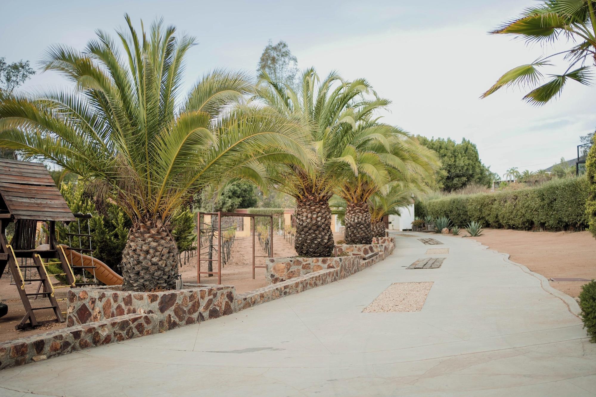 Tierra Mia Hacienda Ruta del Vino 5
