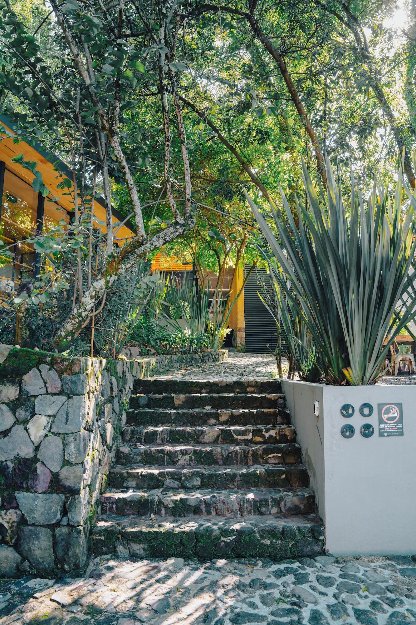 Casa Chichipicas Hotel Boutique 5