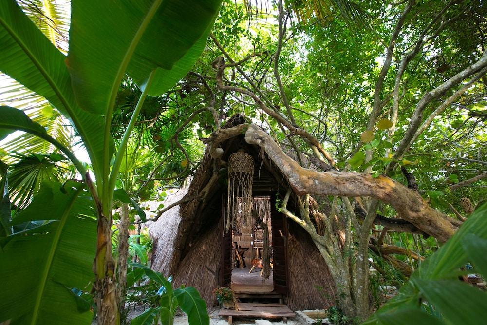Ikal Hotel Tulum