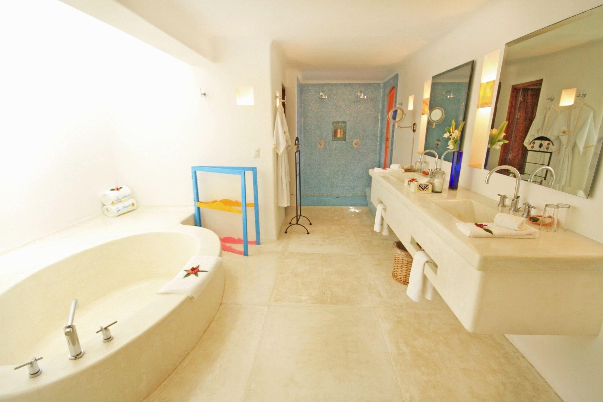 Suite estudio Premium