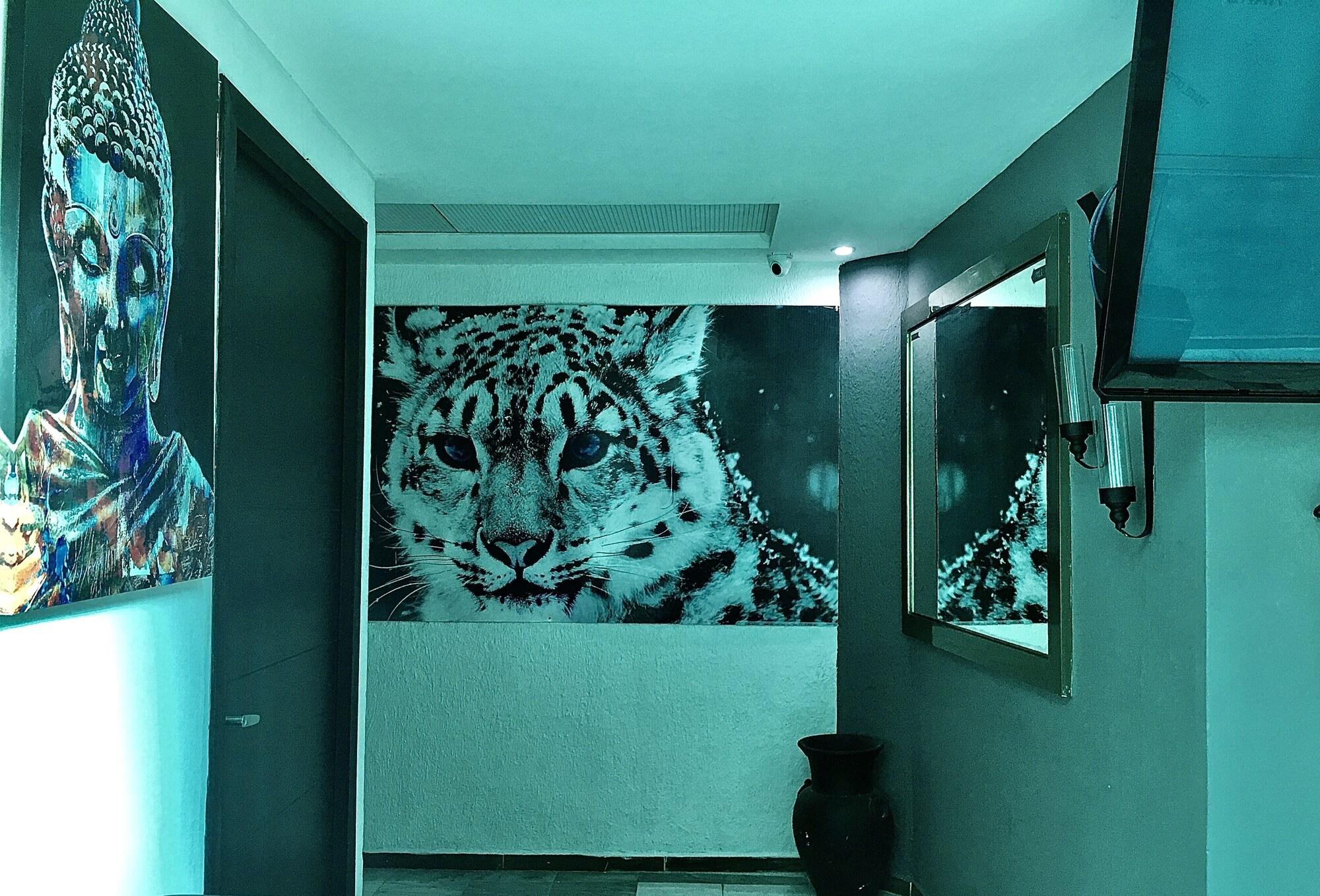 image-housing-carousel