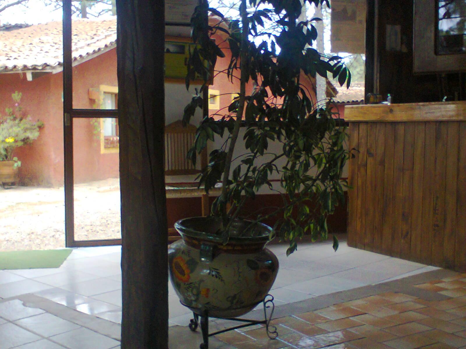 image-housing-carousel