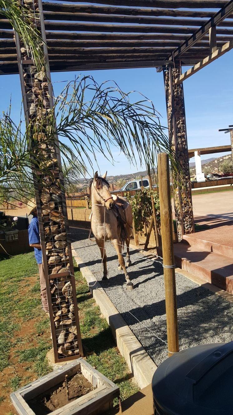image-housing-carousel