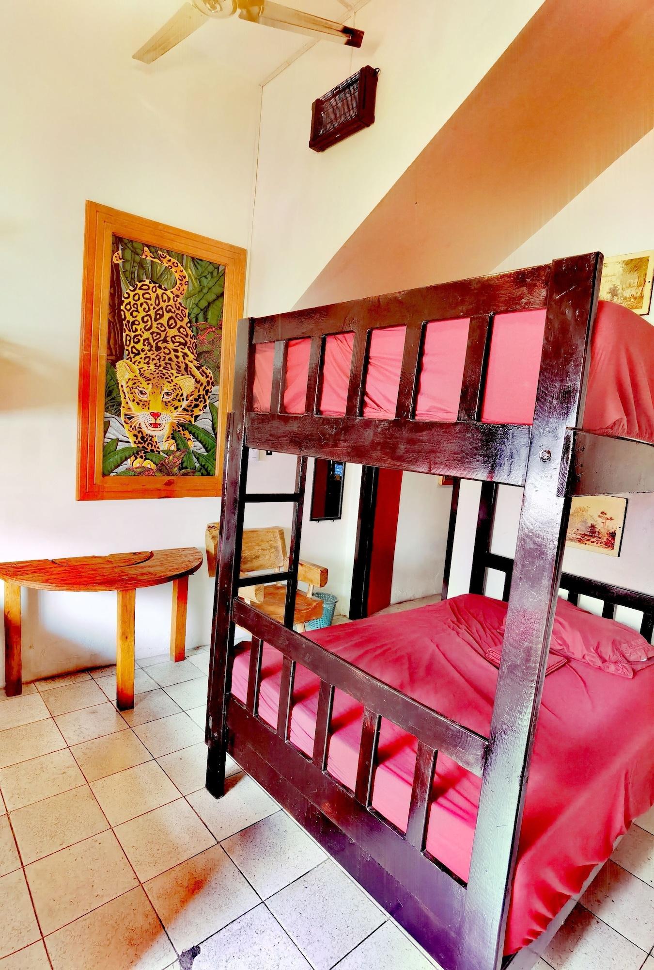 The Roof Backpackers Hostel 6