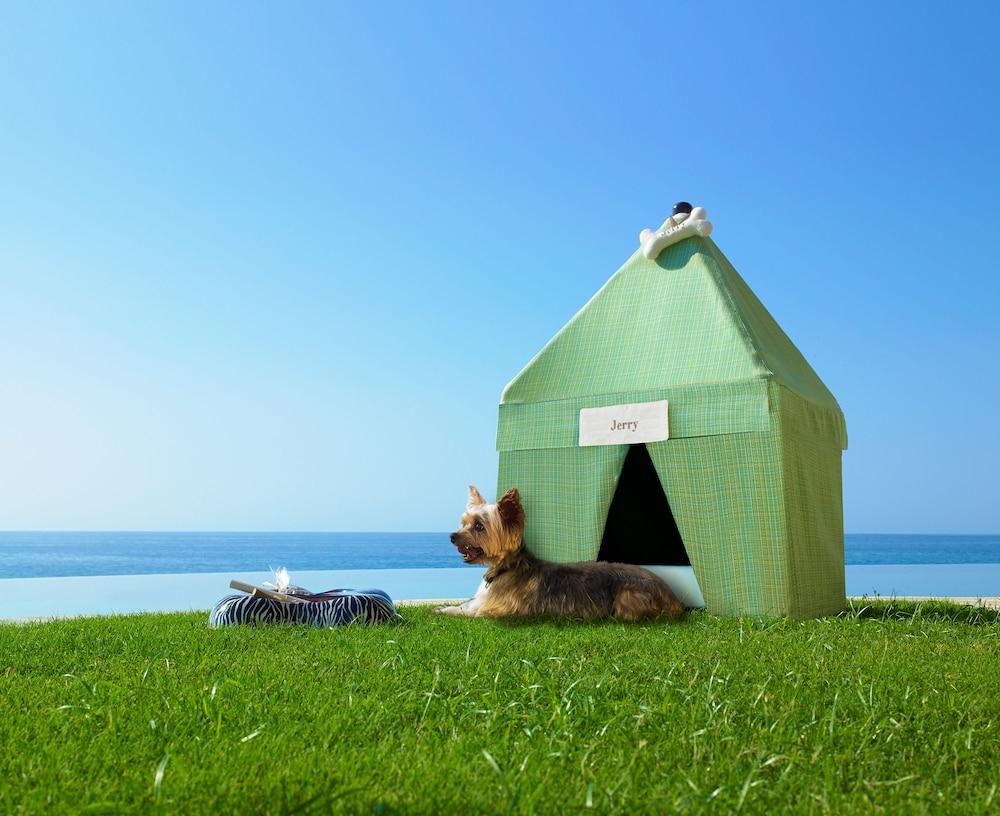 image-housing-carousel