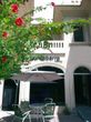 Punto Berro Hostel