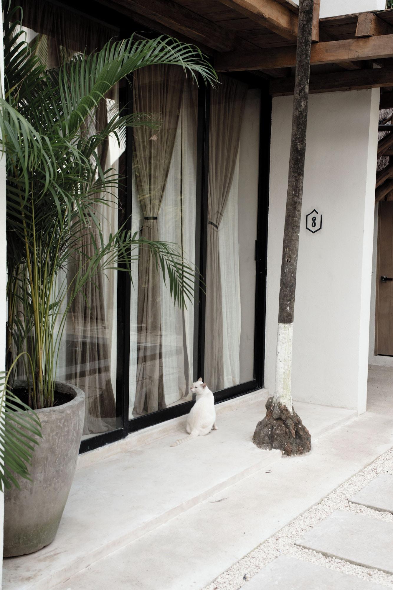 Habitación estándar, vista a la piscina