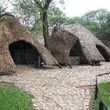 Sikumi Tree Lodge