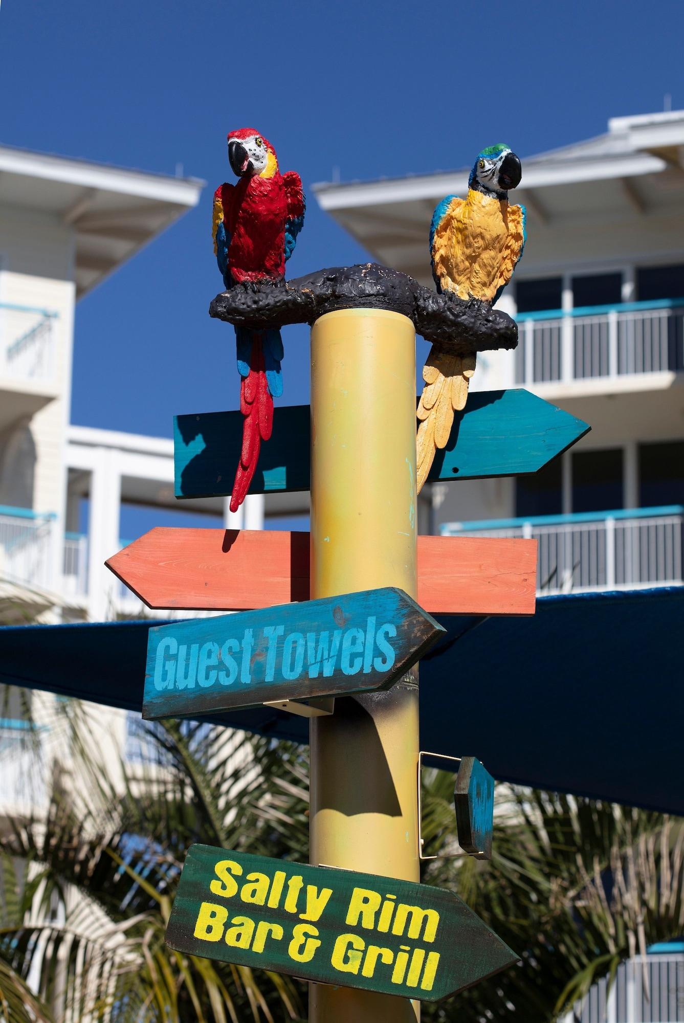 image-housing-carousel