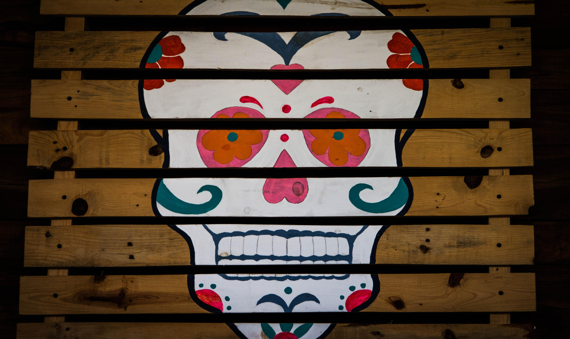 image-housing-carousel