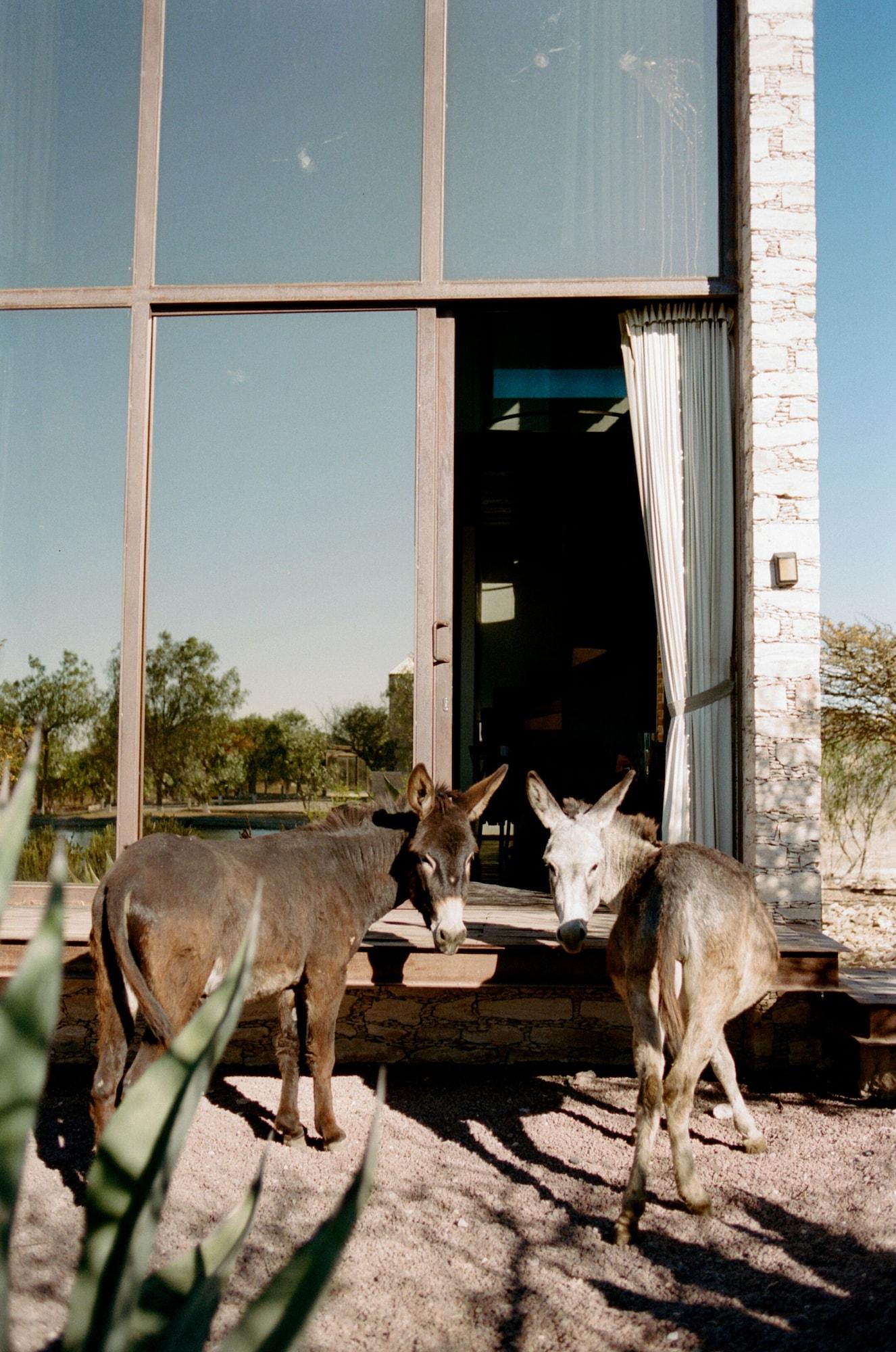 image-housing-carousel