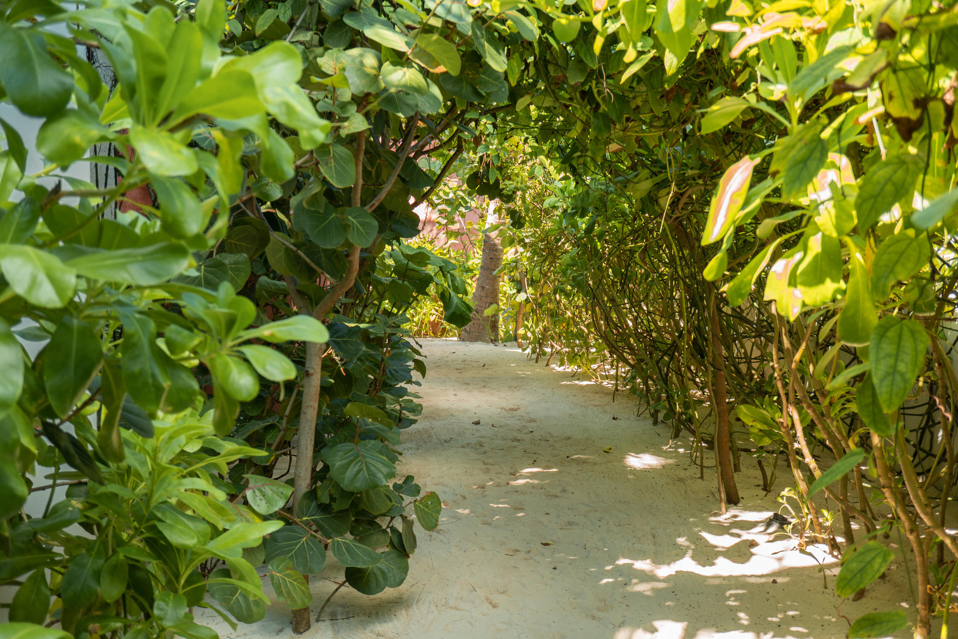 Tago Tulum by G Hotels