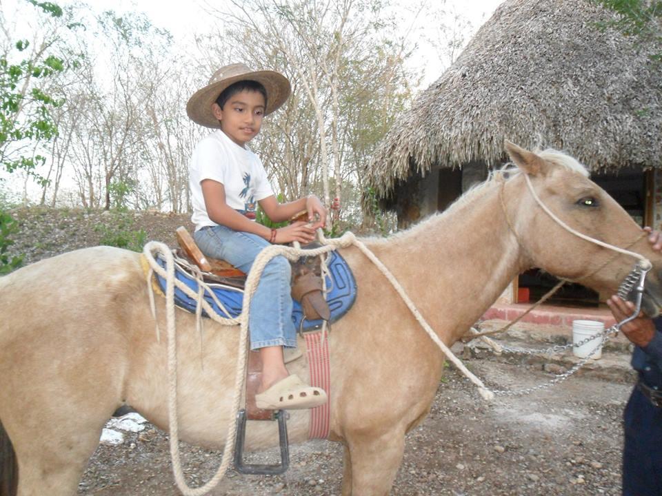 image-housing-carousel