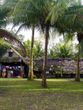 Hotel Turqui Paradise