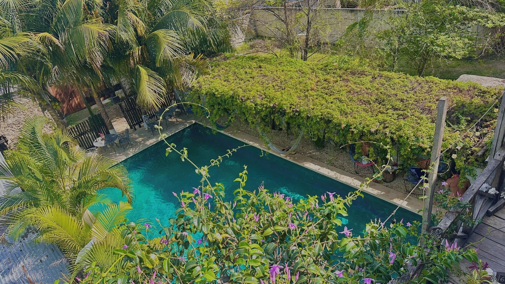 Hotel Jaiba Mahahual 5