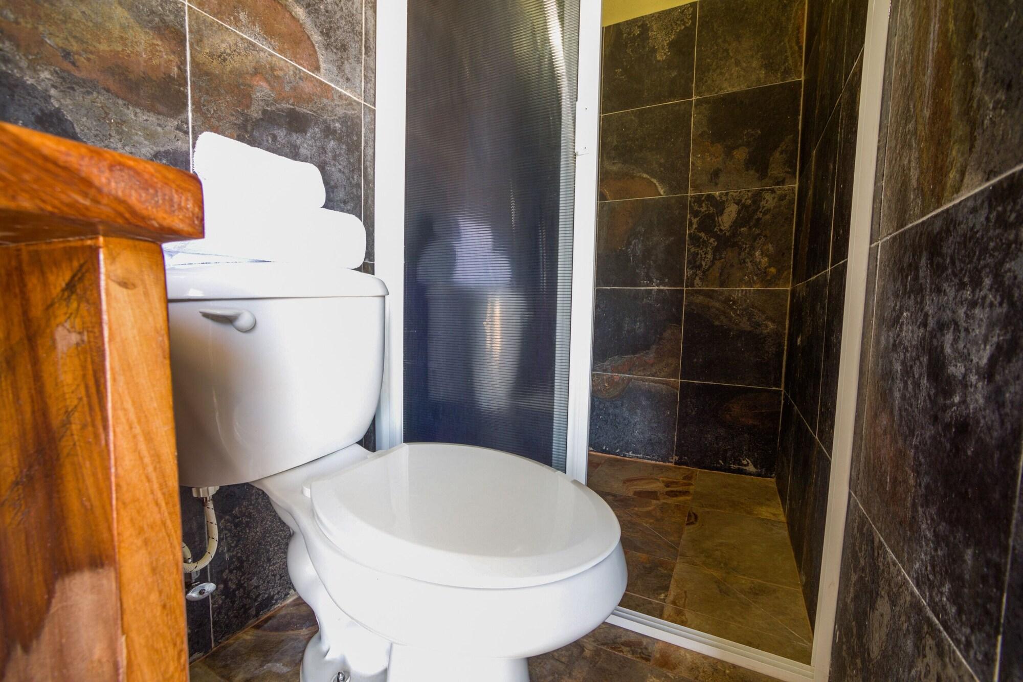 Habitación estándar, 2 camas Queen size