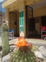 Hostal El Card&oacute;n