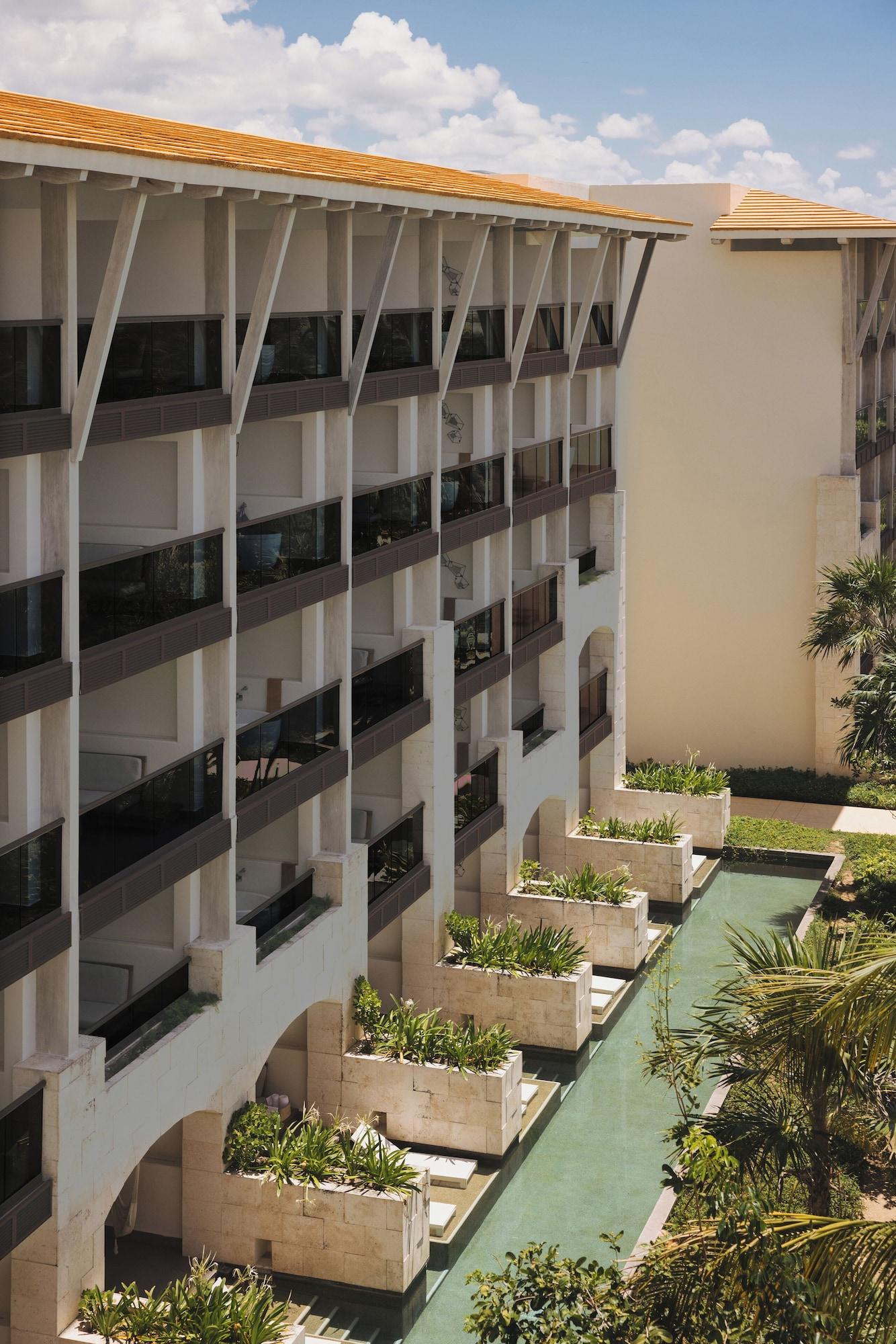 Alcoba Tropical View - King Bed