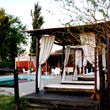 Sangiovese Club House