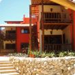 Concha Tropical Flat