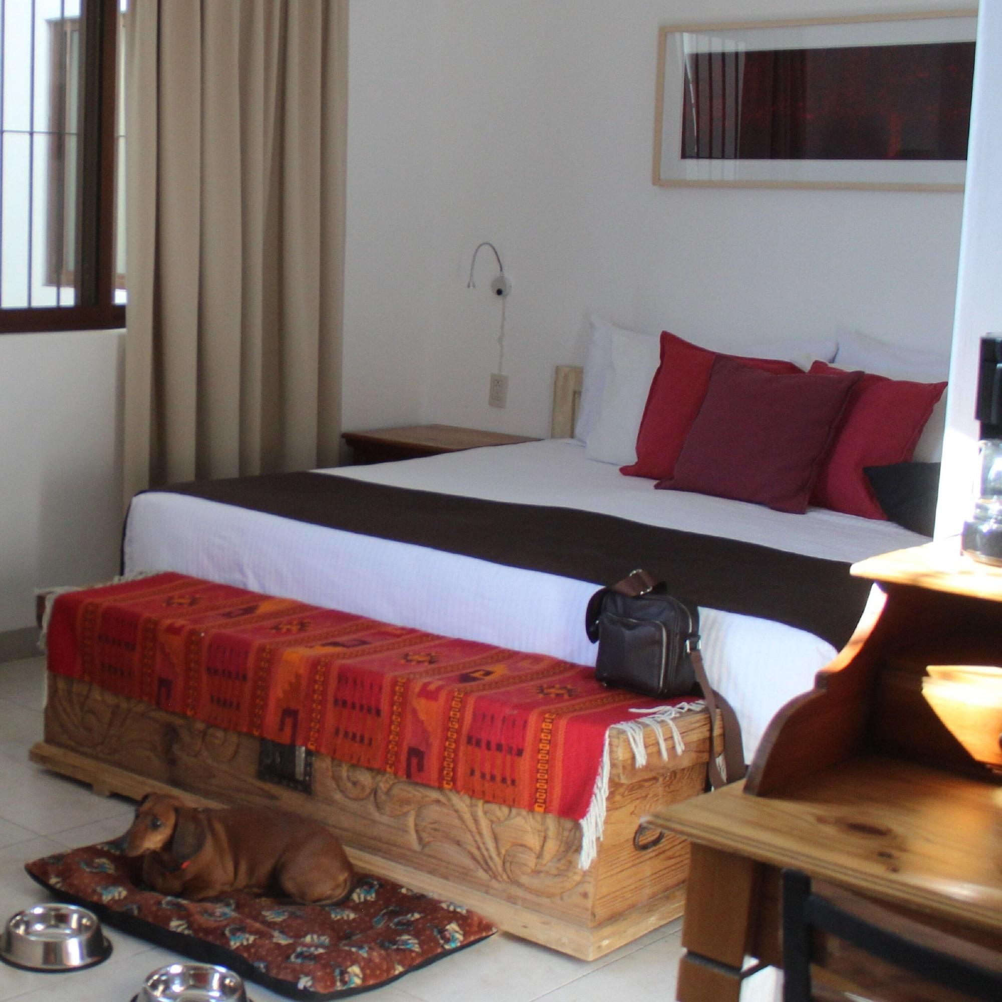 Hotel Boutique La Cochinilla 6