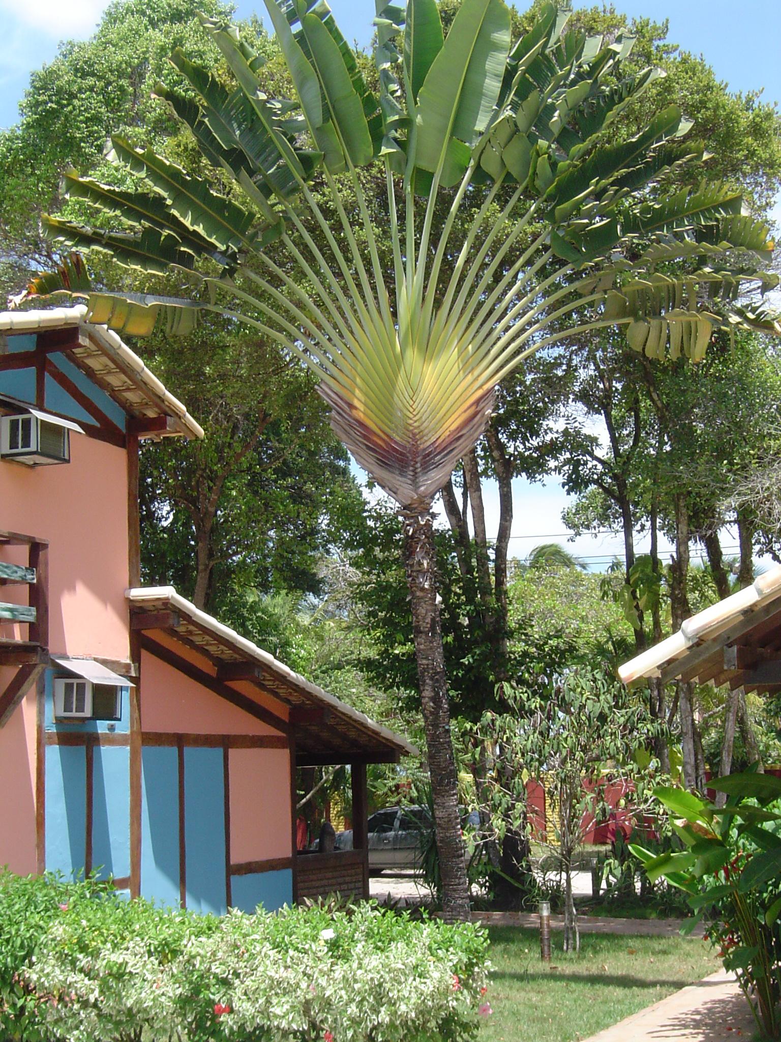image-housing-carousel