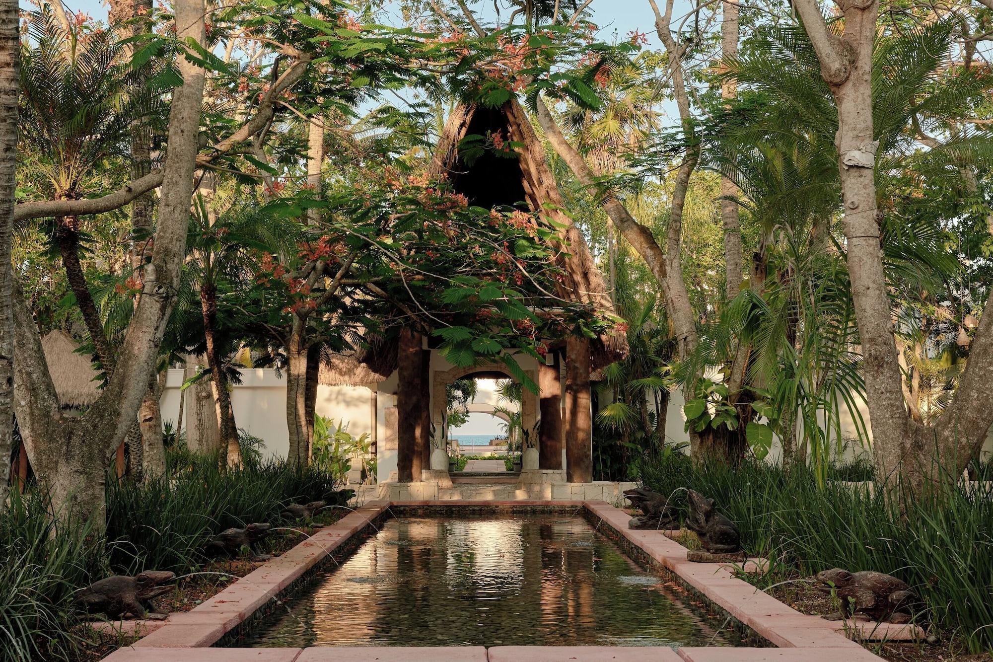 Suite junior, vista al jardín