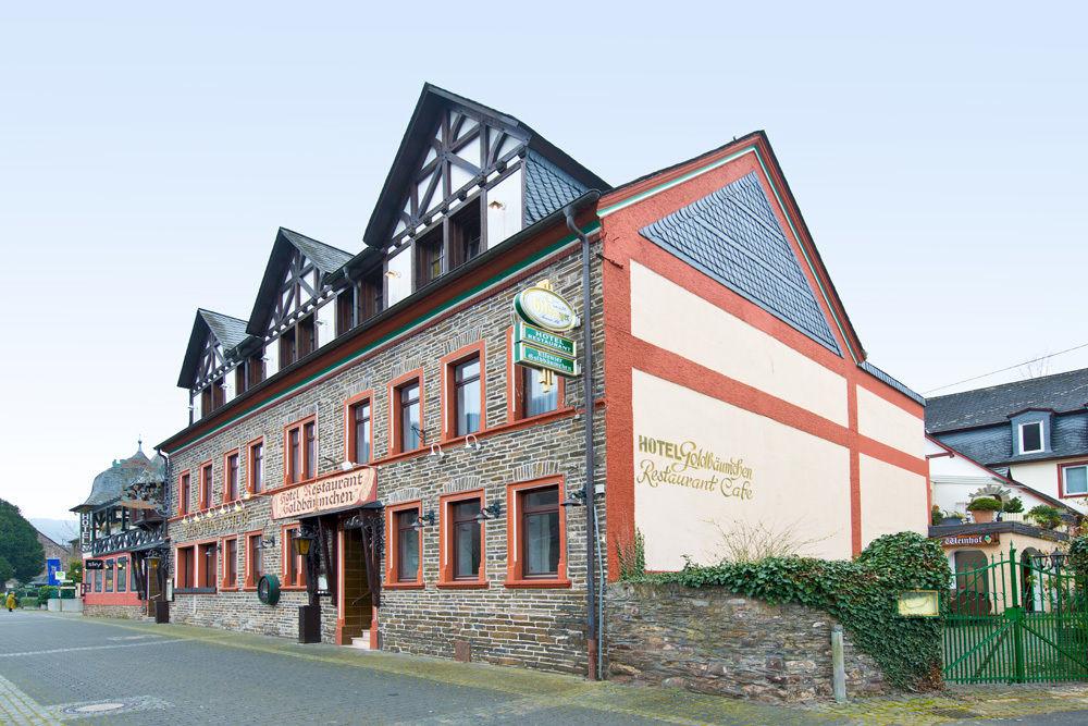 Ellenzer Goldbäumchen image