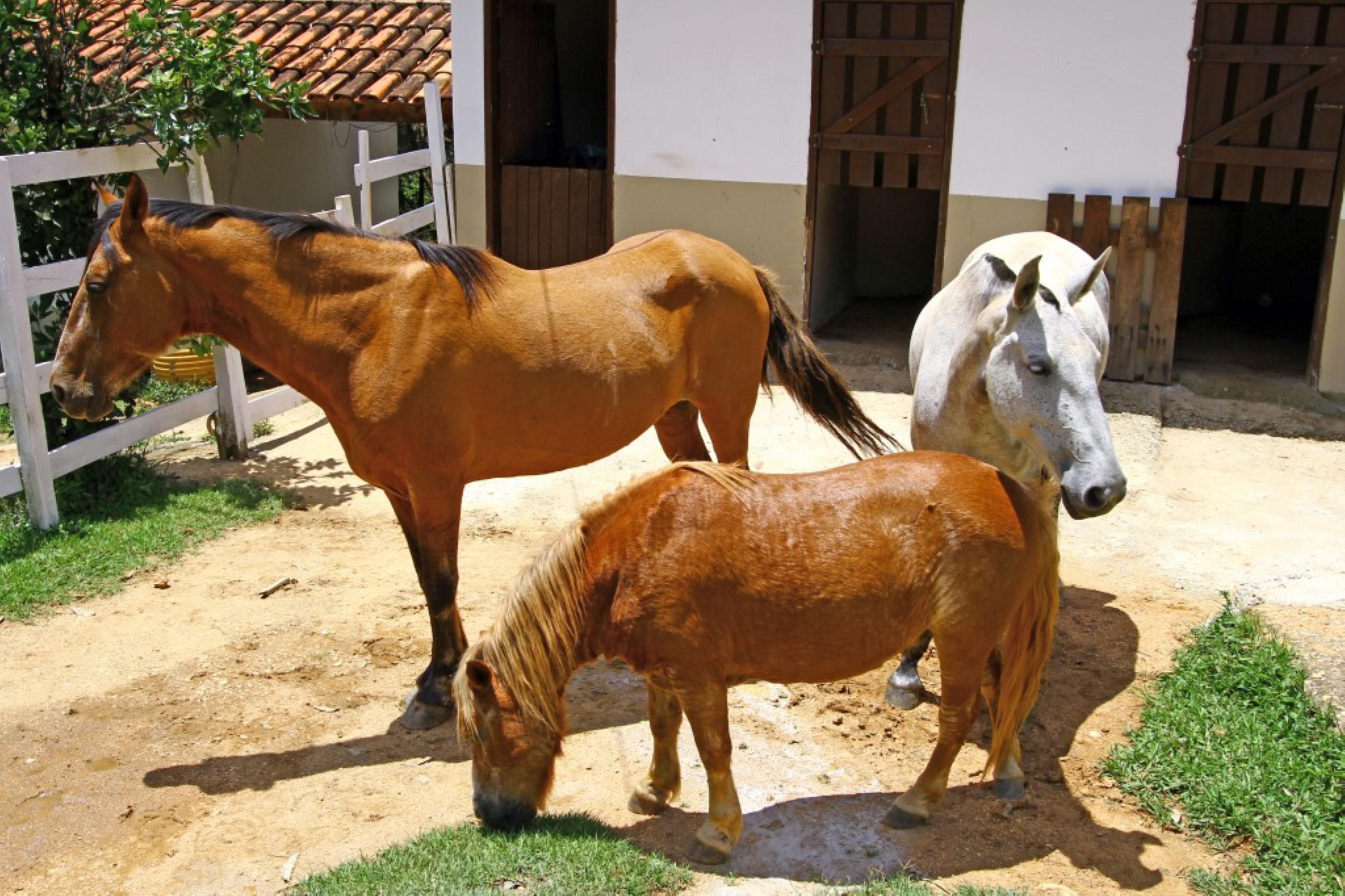 image-housing-carousel