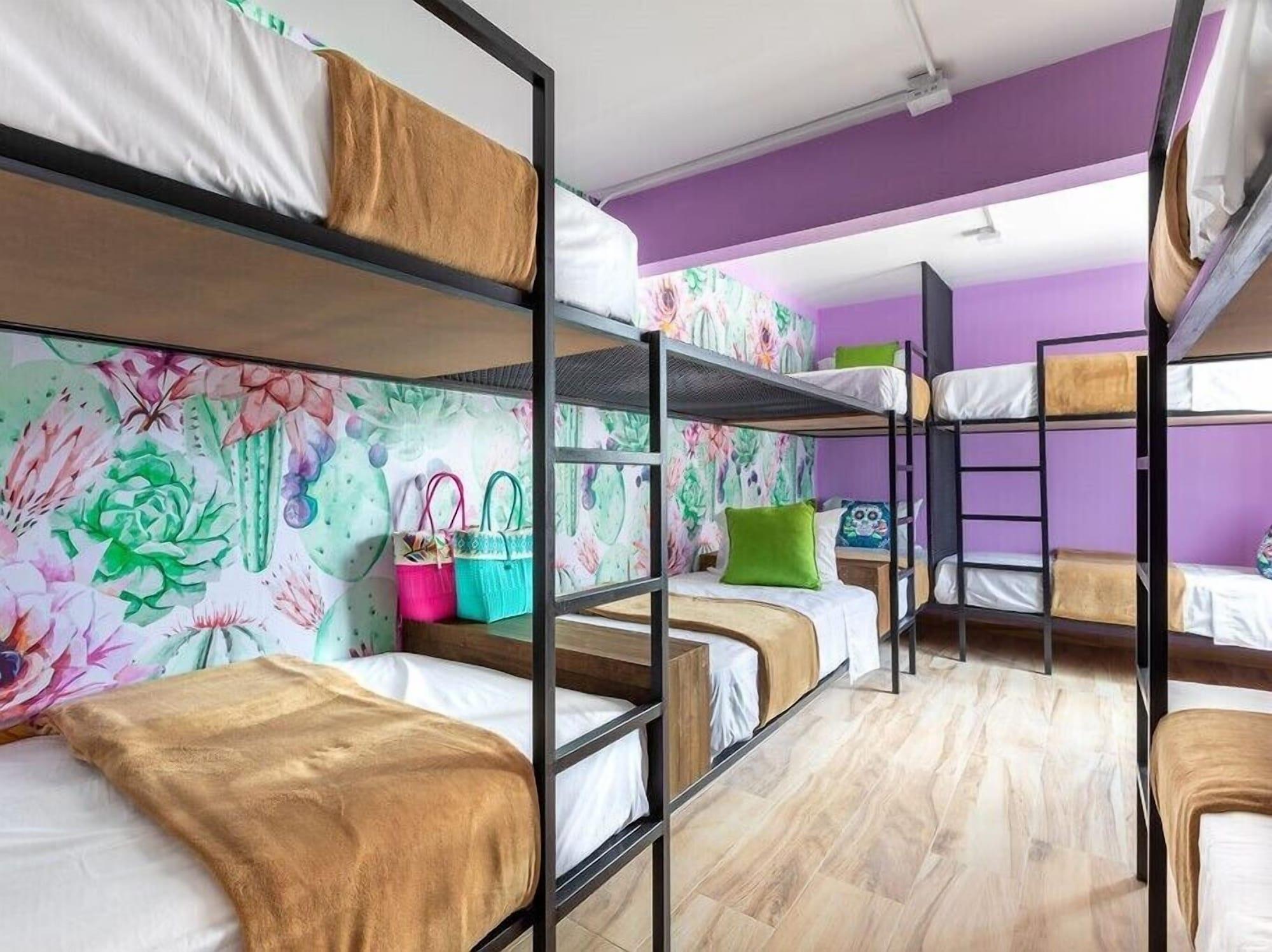 Casa Kanabri Hostal Boutique - Hostel 4