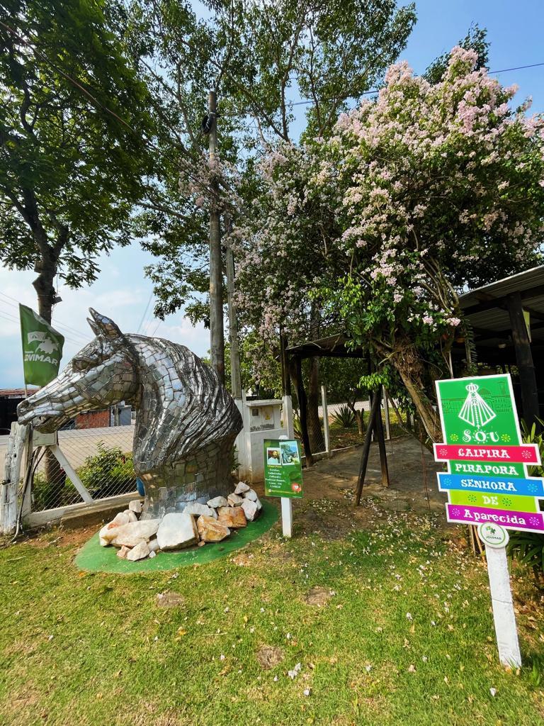 image-housing-carousel