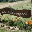 Las Luciernagas