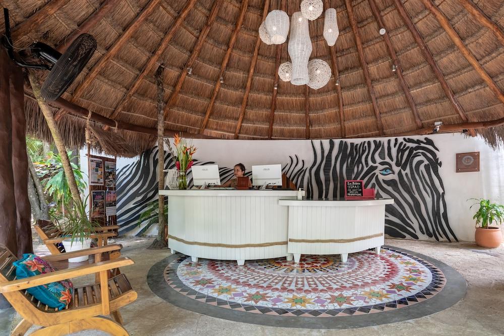 image-housing-carousel
