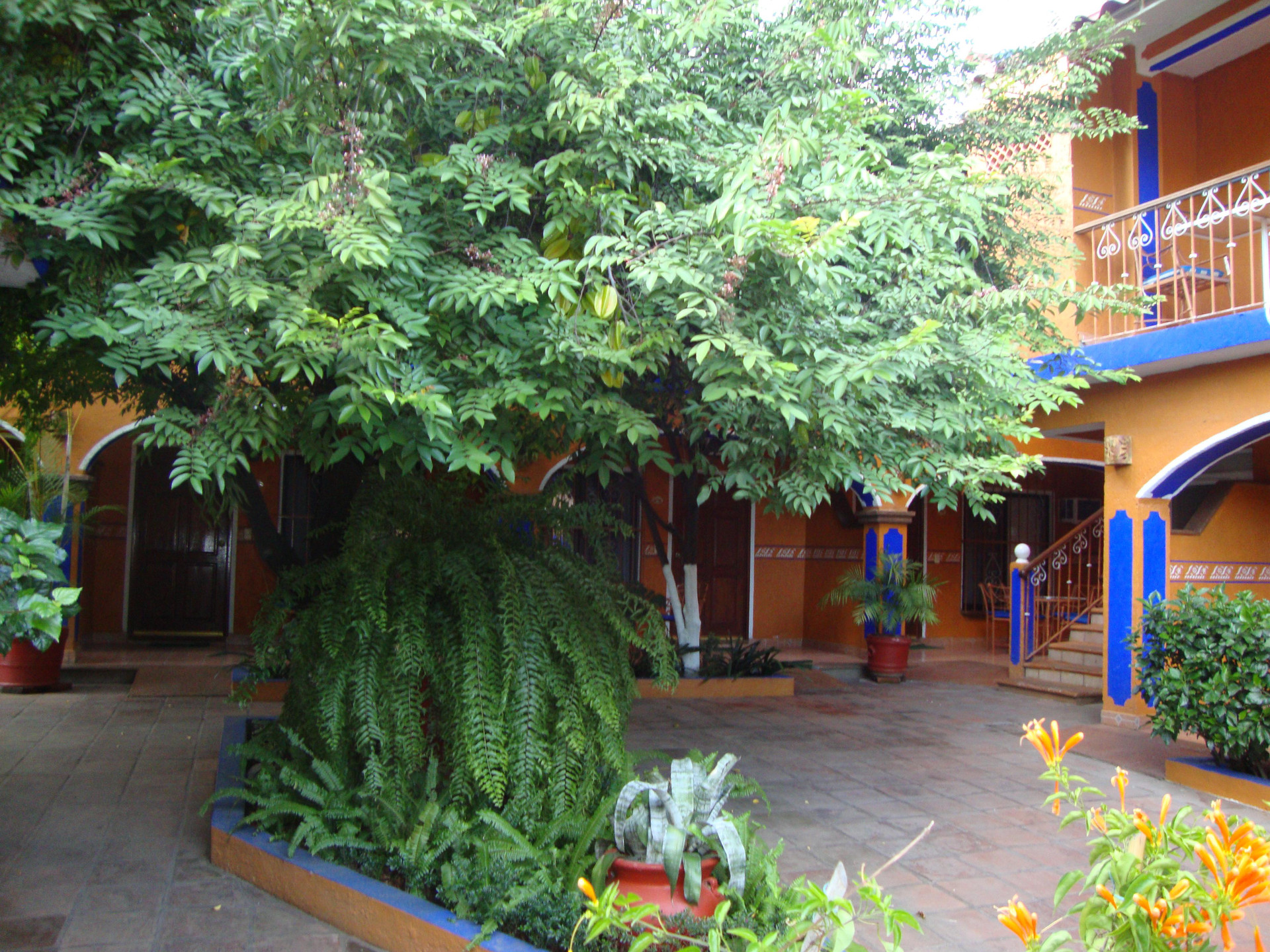 image-housing-carousel