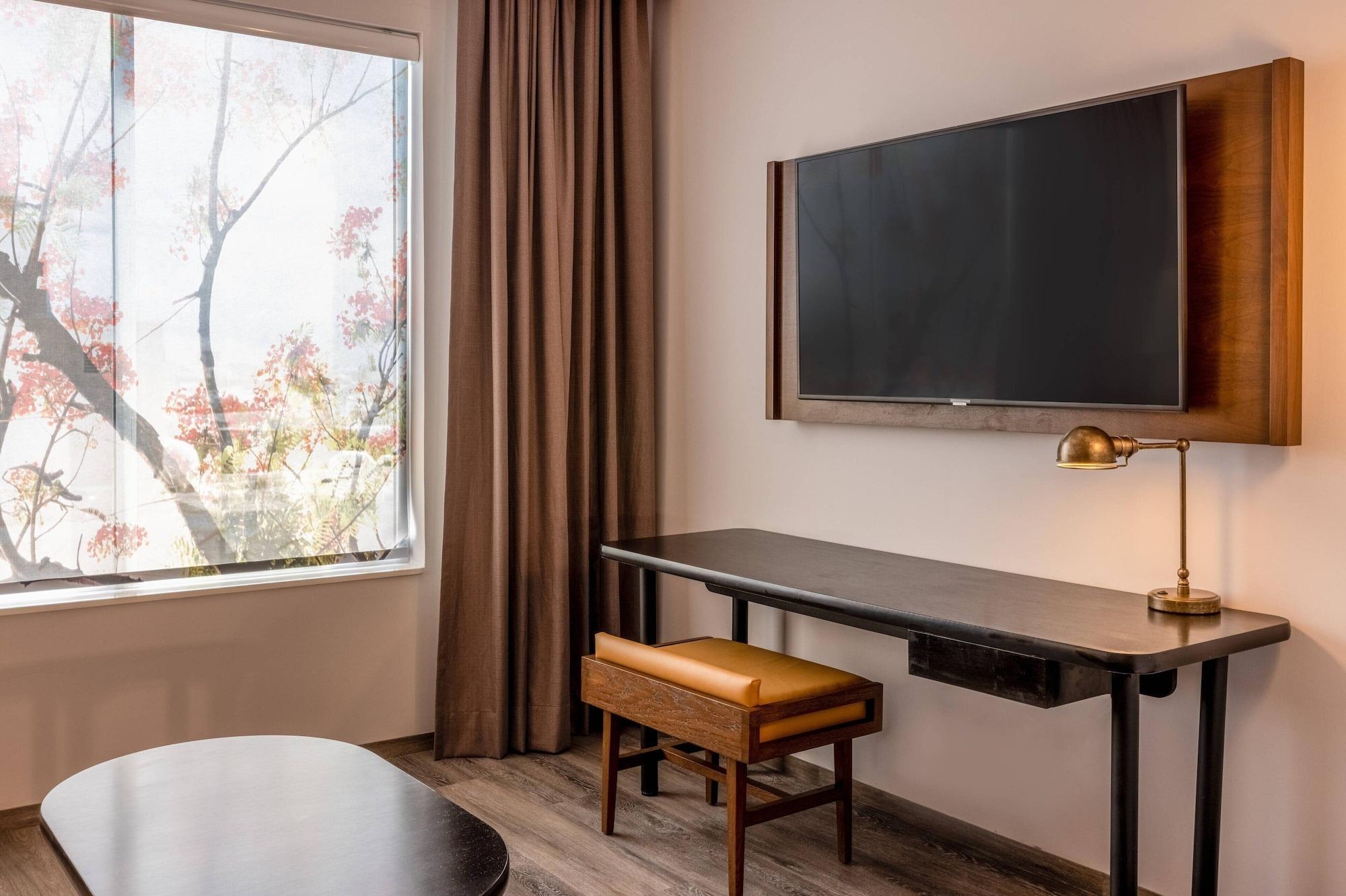 Suite, 1 cama King size con sofá cama