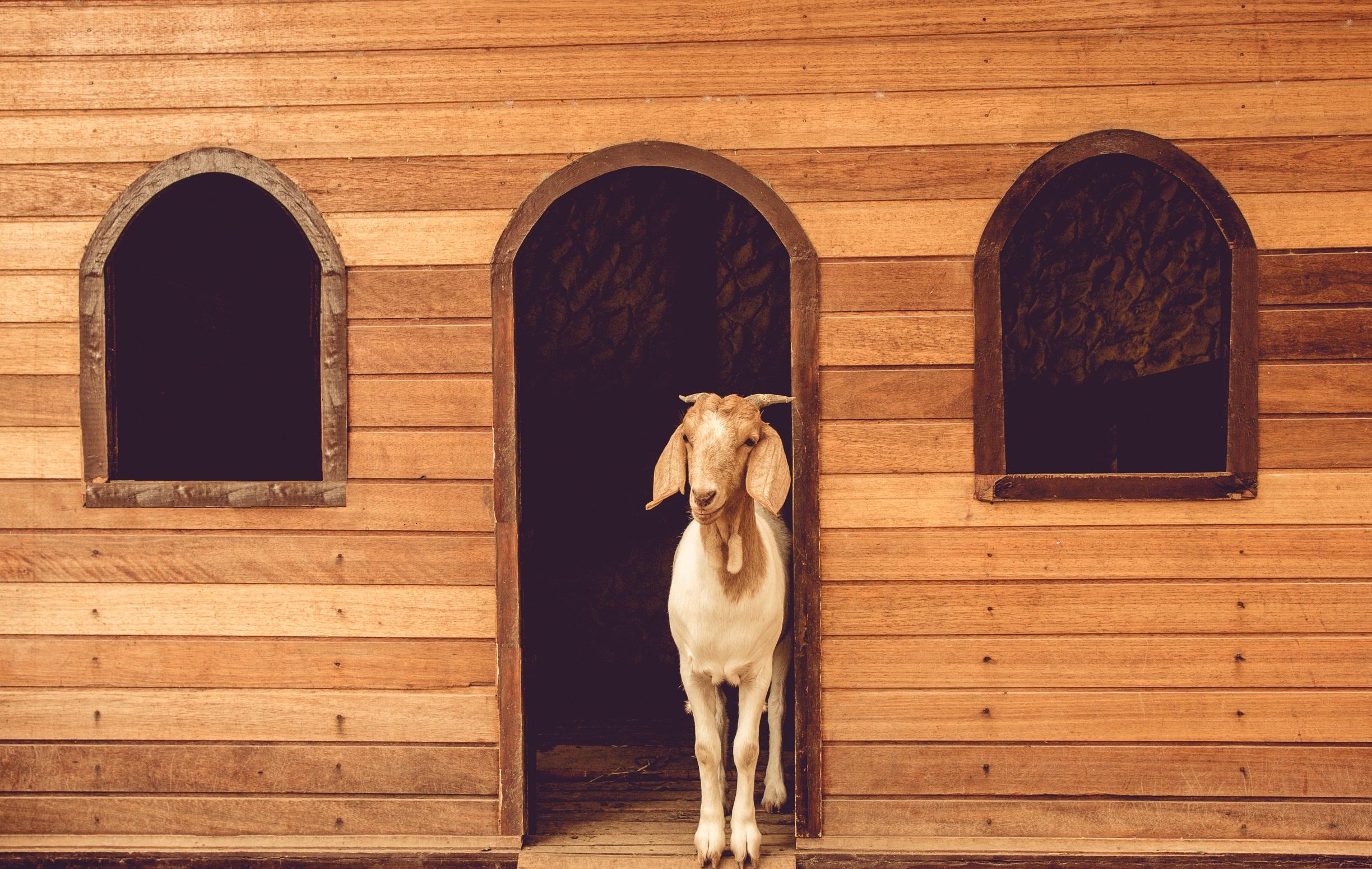 image-housing-carousel