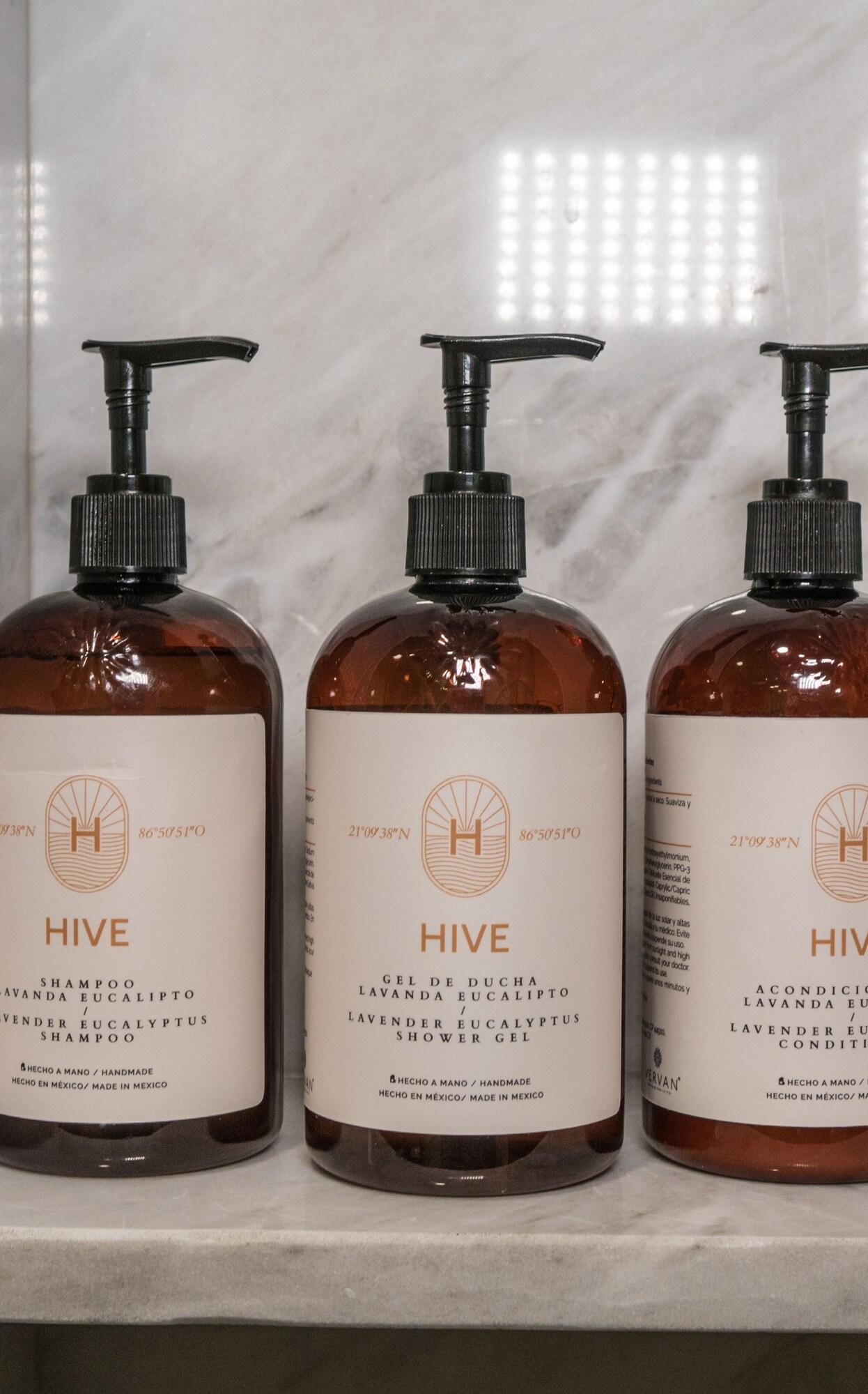 Suite estudio junior