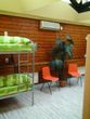 City Center Hostel