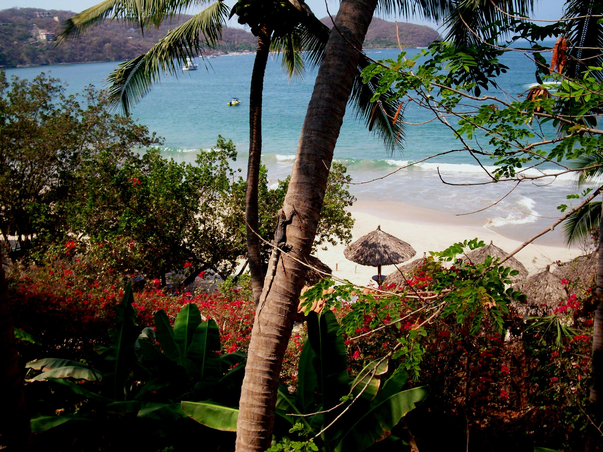 Habitación   con Vista a la Playa